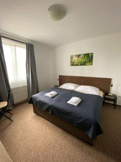 Valnovka Wellness Hotel - Kamenice - 0