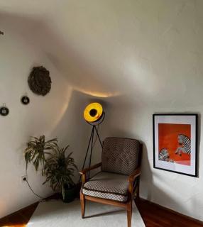 Steiner Apartment - Selpritsch - 4