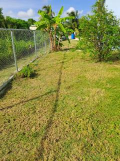 FeeFees stay cation - 9