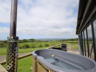 1 Bed in Dalry 91418 - Dalry - 7