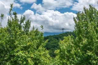 Golden Oak Lodge by Stony Brook Cabins - 4