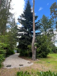 Ferienhaus Reetdach 1300qm Privatgrundstück Bootssteg Sauna Templin Lübbesee Uckermark Erholung pur Seenplatte - Petersdorf - 7