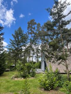 Ferienhaus Reetdach 1300qm Privatgrundstück Bootssteg Sauna Templin Lübbesee Uckermark Erholung pur Seenplatte - Petersdorf - 8