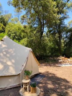 El niuet del bosc - Caldes de Montbui - 6