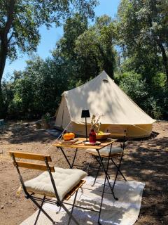 El niuet del bosc - Caldes de Montbui - 7