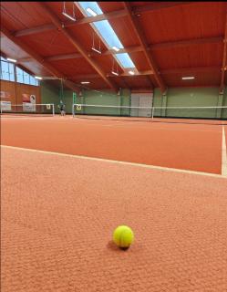 TPE Arena - Zimmer am Ebersdorfer See - Obergrafendorf - 1