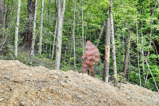 Lucky Eagle by Venture Smoky Mountains - Pigeon Forge - 6