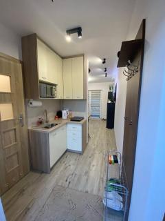 Apartament pod sosenką Sielpia Wielka - Sielpia Wielka - 0