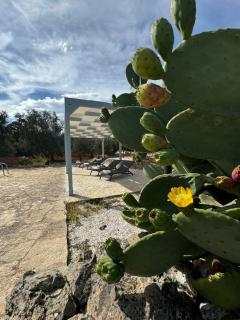 Masseria Cupina - Ceglie Messapica - 3