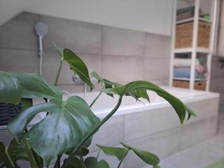 Rheinhessen-Loft - Alzey - 3