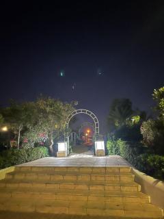 Dar Rimovchka - Hammamet - 6