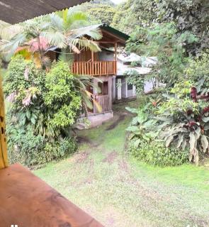 Hda San Vicente Yellow House Trails & Lodge - Mindo - 7