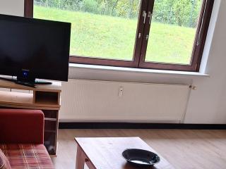Ferienwohnung Bad Segeberg für 2-3 - Bad Segeberg - 9