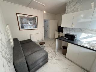Ground floor one bedroom flat miles - Londra - 0