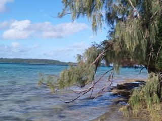 Mahina Lodge - - 9