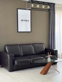 Skylark - Sydney Penthouse with Jacuzzi and Mountain View - Braşov - 8