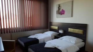 Hotel Montenegro - Bruntál - 9