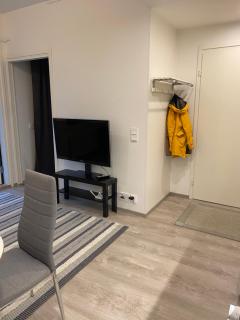 Pikkukaksio yliopiston vieressä - Joensuu - 8