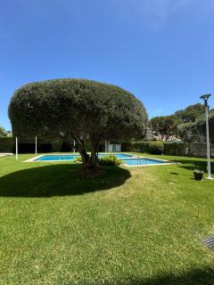 Albir Adventino LOVE - El Albir - 9