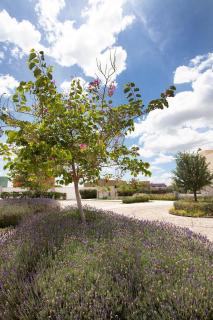 Hermosisima Casa y Depa con 20 amenidades - 2