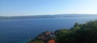 Mimice View - Mimice - 9