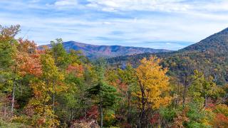 Summit View by Venture Smoky Mountains - 4