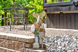 Glamping at KY Lake 1 min from Carper Cove - Springville - 7