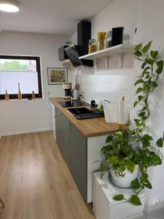 Moderne Wohnung in ruhiger Lage - 2