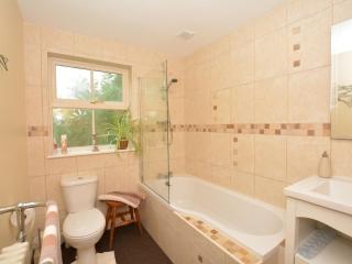 1 Bed in Ballantrae 45713 - Ballantrae - 4