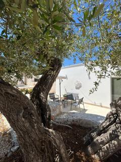 Trullo Alisia - TrulloExperience - 8