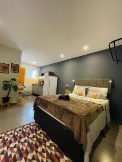 Moderno e Econômico Studio em Laranjeiras - 2