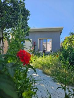 Little house - Polisi i Vogël - 1