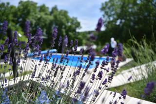 Rent Your Family Retreat - Novi Sad - 3
