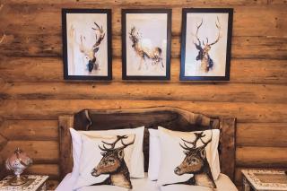 Timber Charm Chalet - Rau Sadului - 9