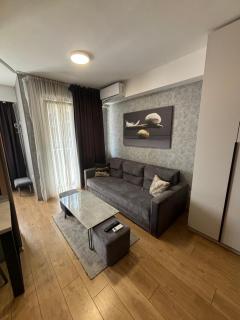 Luxury Apartment Skopje 2 - Skopje - 6