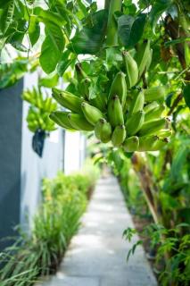 Villa Nouah 4 etoiles Luxe avec Piscine privee - 4