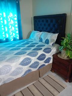 DOUG MANOR flat 2 - Portmore - 2