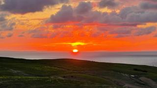 The Sunset roost - Dar Brahim Ben Assassa - 0
