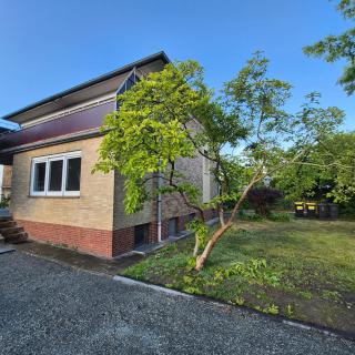 Budget Base Apartment - 9