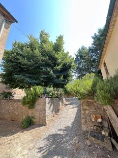 agriturismo san biagio - Montepulciano - 9