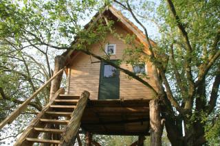 Tiny house im Baum - - 9