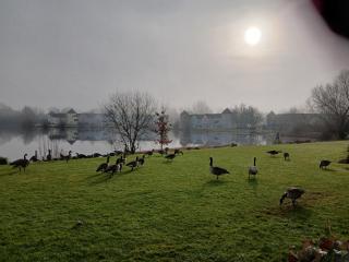The Lakehouse on Windrush - South Cerney - 9