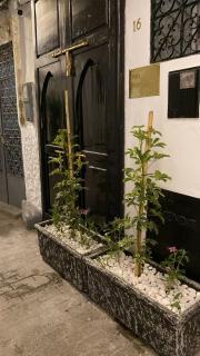 Casa Barcelona luxury apartments - Tangier - 9