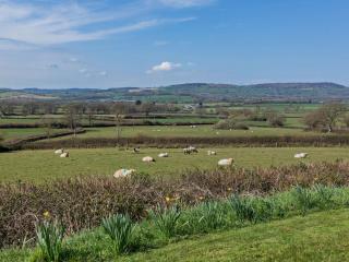 1 Bed in Charmouth 90055 - Whitchurch Canonicorum - 7