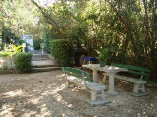 Apartment Dane - Makarska - 2