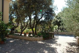 Apartments Ip - Mandre - 2