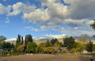 Ruca kurá - Potrerillos - 1