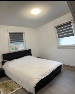 Logement des jours heureux - Mundolsheim - 1