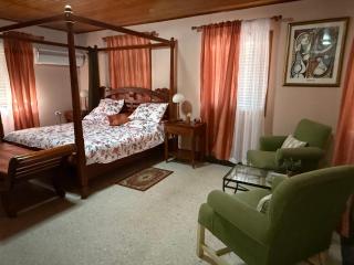 Private Villa near Beaches with Private Pool and more - Palm-Eagle Beach - 3