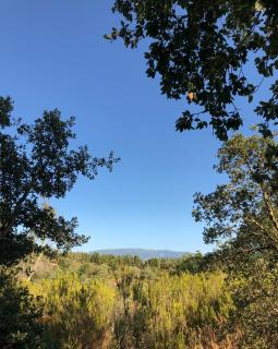 Serra da Lua - Chic vintage caravan retreat, just 20 mins to the beach - Odeceixe - 5
